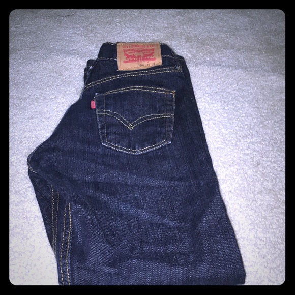Levi Pants - Picture 1 of 1